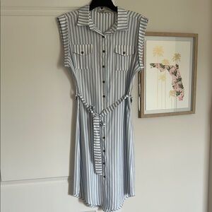 Bishop + Young Striped Blue and White Button-Up Dress